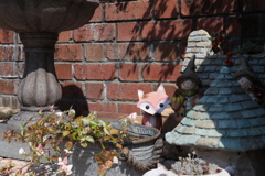 きつね