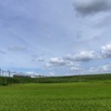 田園