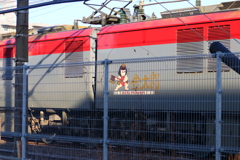 金太郎