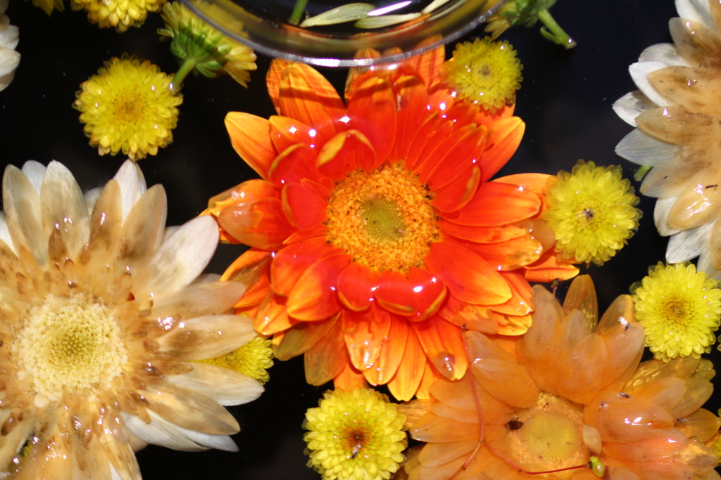 花手水
