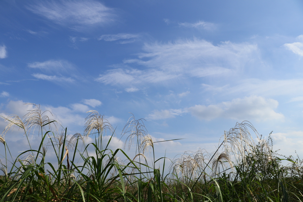 秋の空
