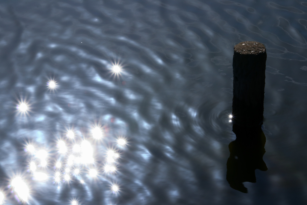 星が産まれる泉