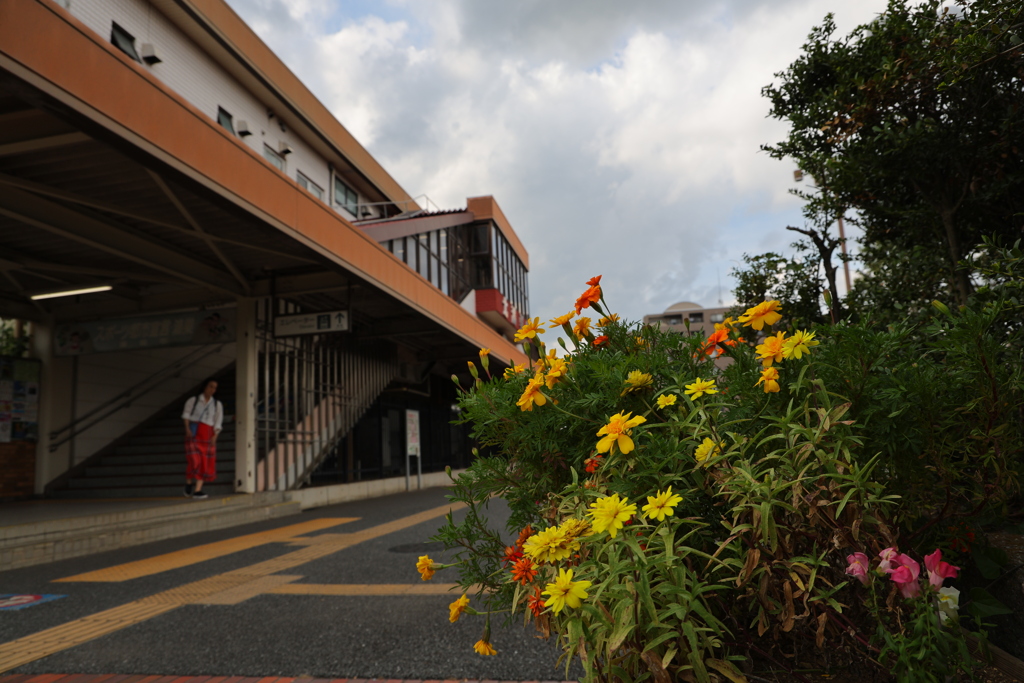 駅