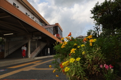 駅