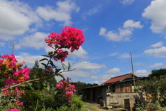 彩り