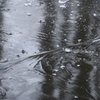 氷紋