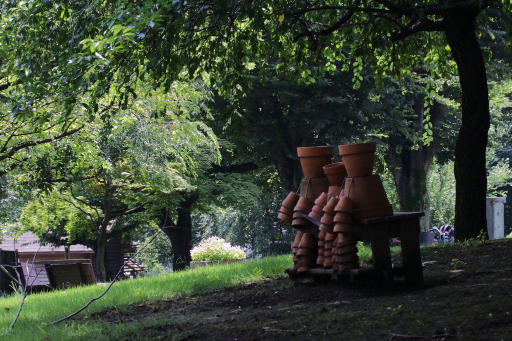 日陰が恋しい季節