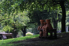 日陰が恋しい季節