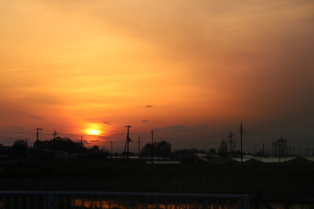 夕陽