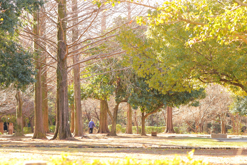 朝の公園 ②