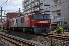 金太郎
