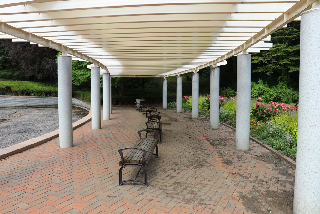 公園のベンチ １２