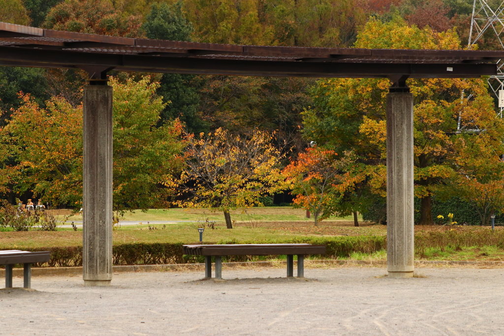 公園のベンチ １０
