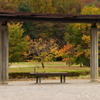 公園のベンチ １０