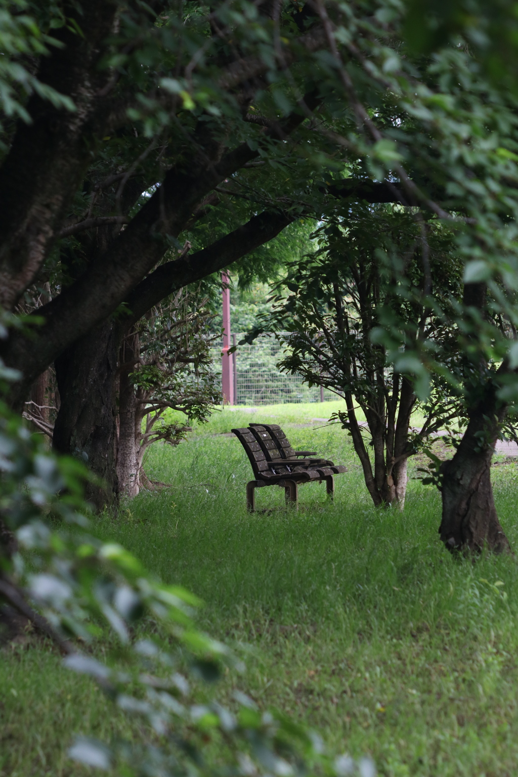 公園のベンチ １７
