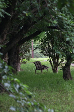 公園のベンチ １７