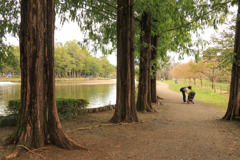 公園の遊歩道