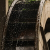 水玉