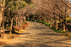 道