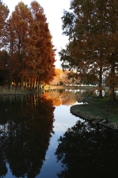 紅葉と釣り人