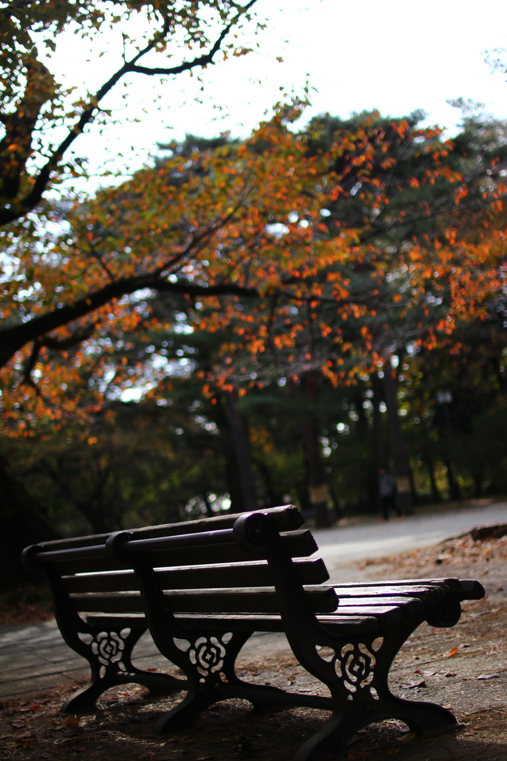 公園のベンチ ６