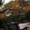 公園のベンチ ６