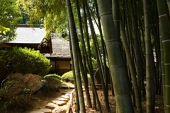 竹林