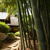 竹林