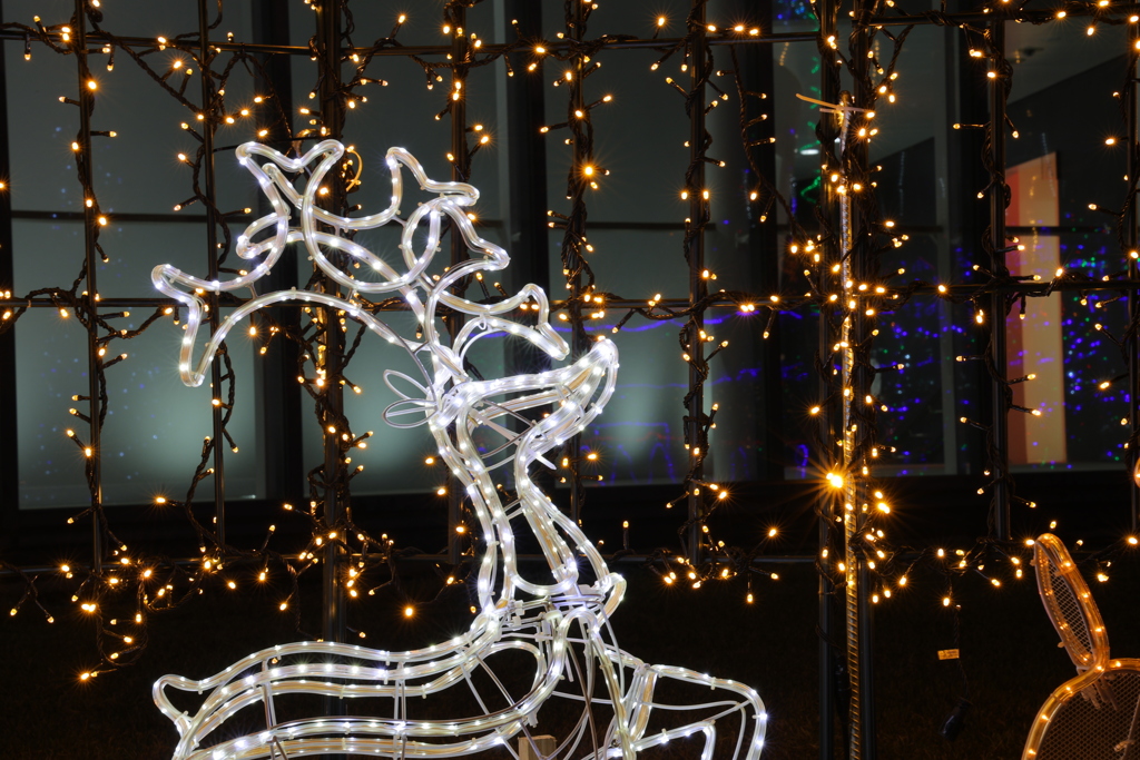 イルミネーション