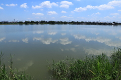 池の雲