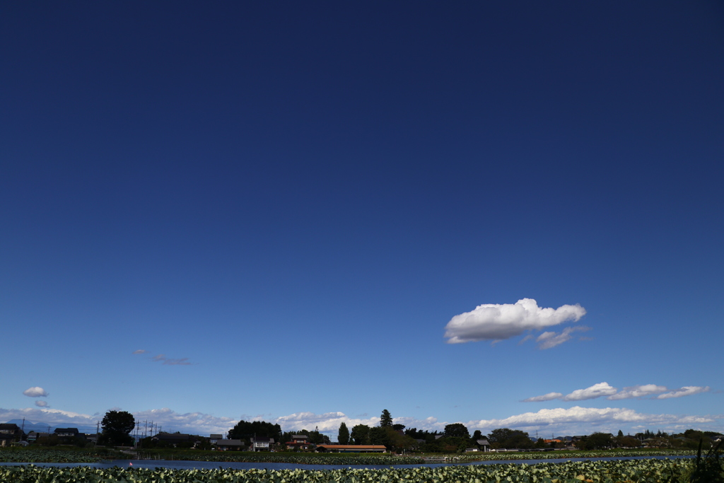 青い空、白い雲