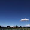 青い空、白い雲