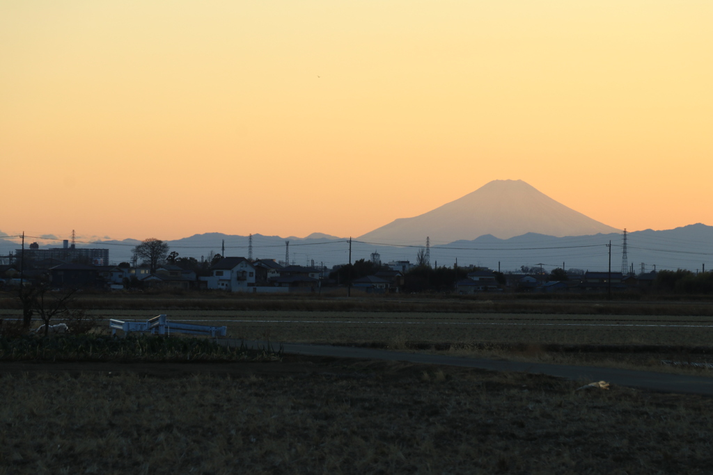 夕暮れの富士