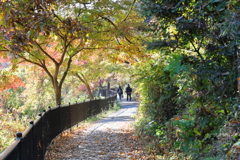 紅葉のトンネル