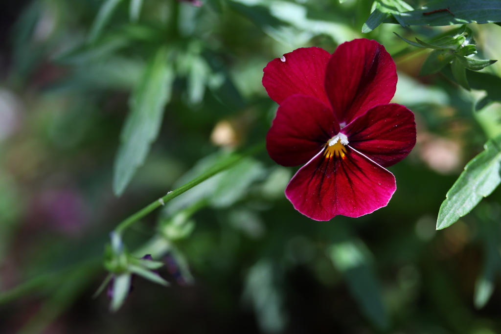 20170508114315_IMG_1235