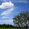 今日の雲