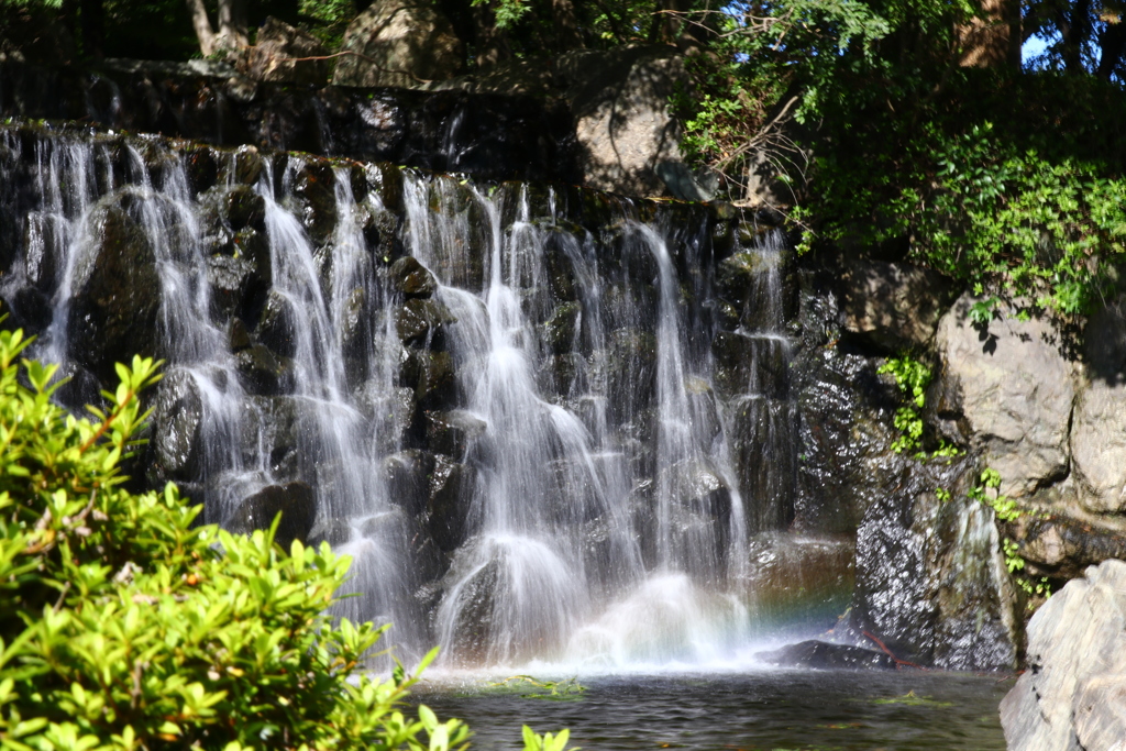 公園のちっちゃな滝