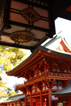 吊り灯篭