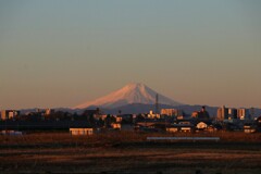 早く起きた朝は…