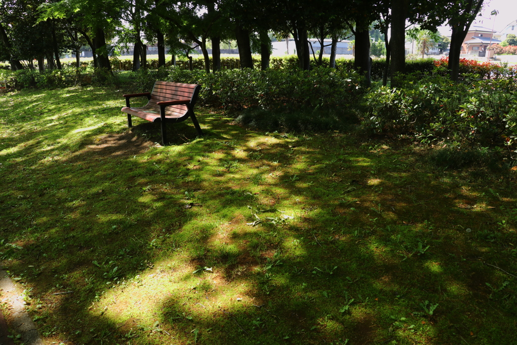 公園のベンチ １４