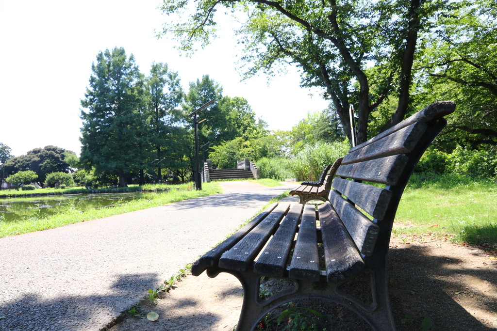 公園のベンチ　１５