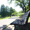 公園のベンチ　１５