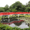 八ツ橋