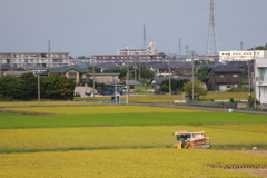 収穫