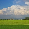 もくもく雲と鳥の群れ