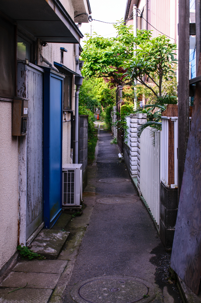 路地