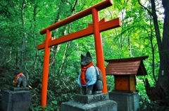 狐
