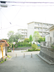 古き良き通学路