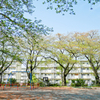 葉桜の公園