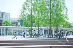新緑の街